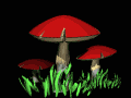 red_mushroom_lb.gif