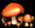 mushrooms_happy_sb.gif