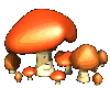 mushrooms_happy_mc.gif