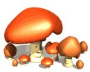 mushrooms_happy_lw.gif