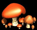 mushrooms_happy_lb.gif