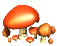 mushrooms_happy_hr.jpg