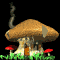 mushroom_house_sb.gif