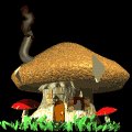 mushroom_house_lb.gif
