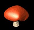 mushroom_happy_mb.gif