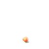 mushroom_growing_mw.gif