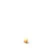 kid_mushroom_growing_mw.gif