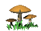 dance_mushroom_sc.gif