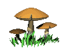 dance_mushroom_mc.gif