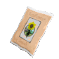 seeds_rotating_sc.gif