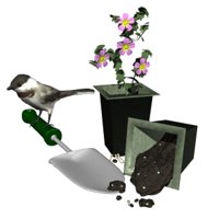 planting_flowers_hr.jpg