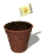 plant_pot_dirt_seeding_tw.gif