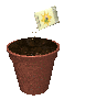 plant_pot_dirt_seeding_sc.gif