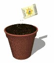 plant_pot_dirt_seeding_mw.gif