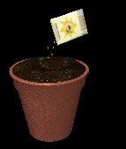 plant_pot_dirt_seeding_lc.gif
