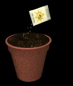 plant_pot_dirt_seeding_lb.gif