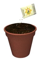 plant_pot_dirt_seeding_hr.jpg