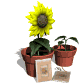 growing_plants_sw.gif