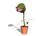 flytrap_snap_mw.gif