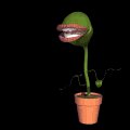 flytrap_snap_mb.gif