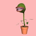 flytrap_snap_lc.gif