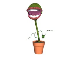 flytrap_snap_hr.jpg