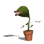 flytrap_jumping_sw.gif