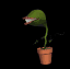 flytrap_jumping_sb.gif