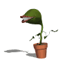 flytrap_jumping_mw.gif