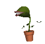 flytrap_jumping_mc.gif