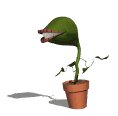 flytrap_jumping_lw.gif