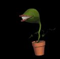 flytrap_jumping_lb.gif