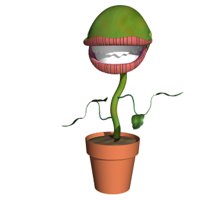 flytrap_grin_hr.jpg