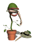 flytrap_eating_sw.gif