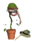 flytrap_eating_sc.gif
