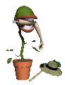flytrap_eating_mc.gif