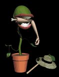 flytrap_eating_lb.gif