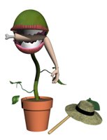 flytrap_eating_hr.jpg