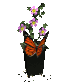 butterfly_and_flowers_sc.gif