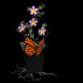 butterfly_and_flowers_mb.gif