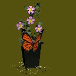 butterfly_and_flowers_lc.gif