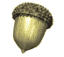 acorn_spin_sw.gif