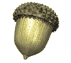 acorn_spin_mw.gif