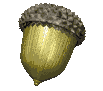 acorn_spin_mc.gif