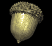 acorn_spin_mb.gif