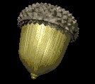acorn_spin_lc.gif