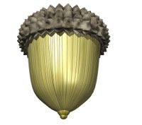acorn_spin_hr.jpg