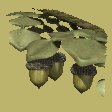 acorn_branch_mc.gif