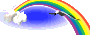 bird_rainbow_mw.gif