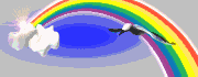 bird_rainbow_mgry.gif
